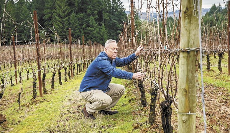 Ribbon Ridge AVA winegrower Dan Warnshuis, Utopia Vineyard.
##Photo provided