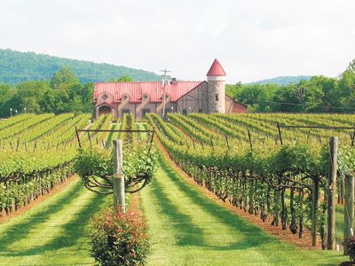 Horton Vineyards, Gordonsville, Va.