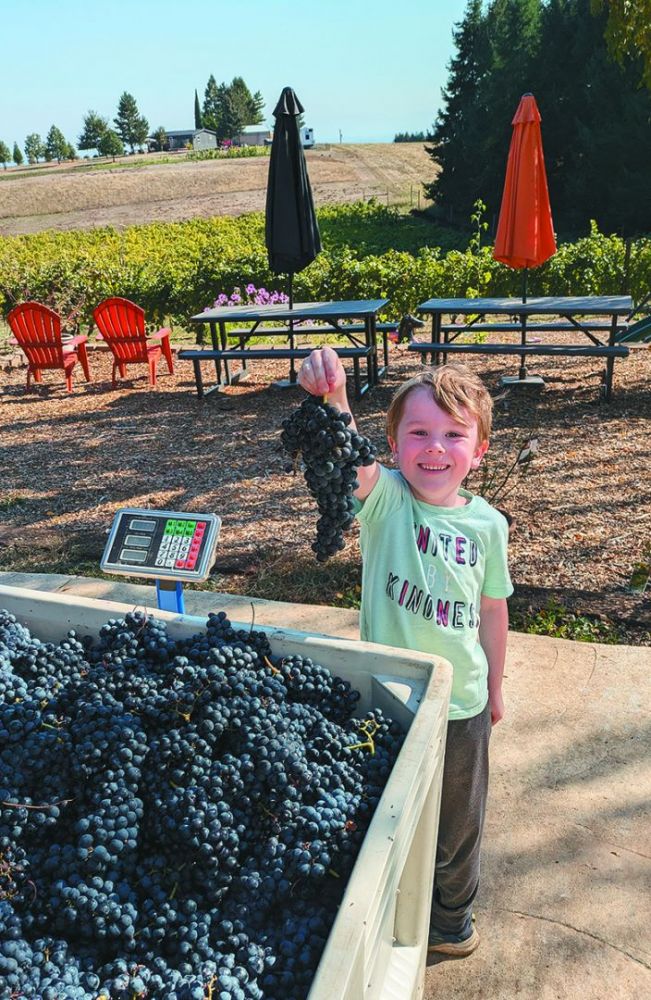 TOP: The stony Watermill Vineyard in The Rocks District of Milton-Freewater AVA. LEFT: Cyler and Taralyn Varnum’s young son Flynn, holding a cluster of Tempranillo grapes from Sunnyside Vineyard. ## Photo provided by Varnum Vintners