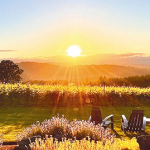Guests of Eminent Domaine can expect beautiful views overlooking the vines. BELOW: A bottle of Eminent Domaine Pinot Noir. ## Photo provided by Eminent Domaine