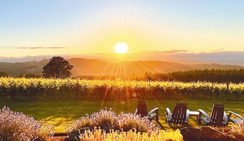 Guests of Eminent Domaine can expect beautiful views overlooking the vines. BELOW: A bottle of Eminent Domaine Pinot Noir. ## Photo provided by Eminent Domaine