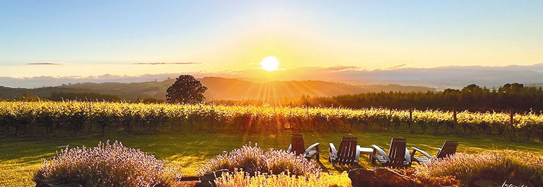 Guests of Eminent Domaine can expect beautiful views overlooking the vines. BELOW: A bottle of Eminent Domaine Pinot Noir. ## Photo provided by Eminent Domaine