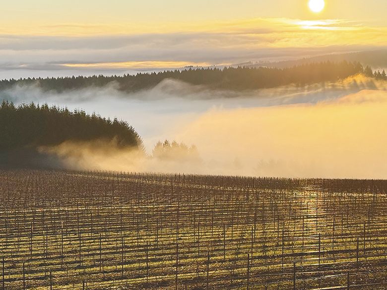 View from Six Peaks Winery. ## Photo provided by Six Peaks Winery