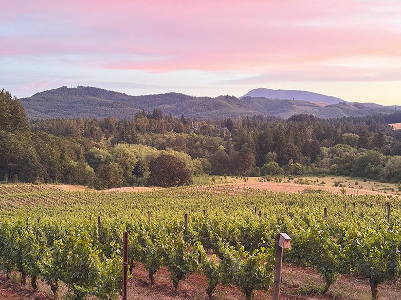 View of Mary&rsquo;s Peak from the Lumos Wine Company tasting room during sunset. ## Photo provided by Lumos Wine Company