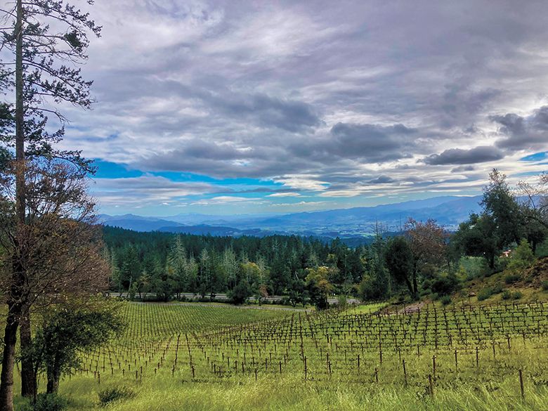 View of the Napa Valley from Howell Mountain&rsquo;s CADE Winery ## Photo by Michele Francisco