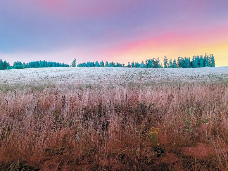 6:09 p.m.  Sept. 8: Due to particulate matter in the air, the sunset was especially colorful the evening of Sept. 8.##Photo by Patrick McElligott of Sineann Wines