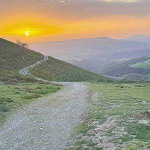 View from a Camino de Santiago route. ## Photo provided by Long Walk Vineyard