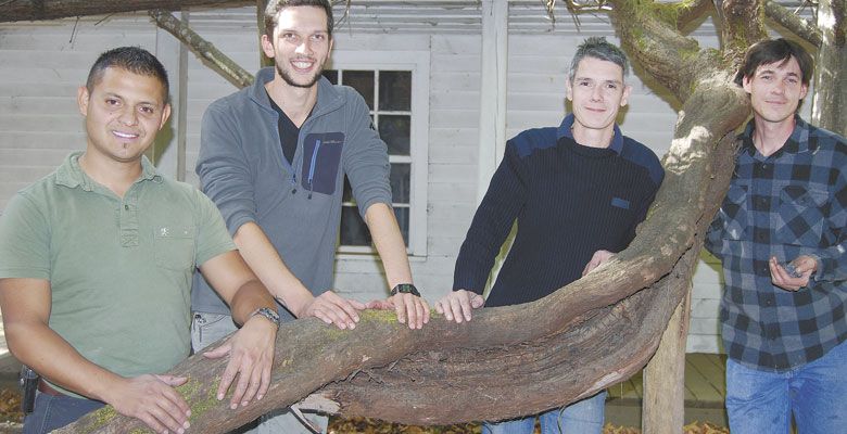 From left: Jonathan Maldonado (cellar worker), Aurelien Labrosse (assistant winemaker), Jean-Michel Jussiaume (winemaker) and Toni Muhlbacher (cellar worker) stand by the old vine at Birdseye Ranch. ##Photos By Maureen Flanagan Battistella