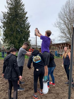 Linfield students help pound posts into the ground for the college’s new micro-vineyard. ##Photo provided