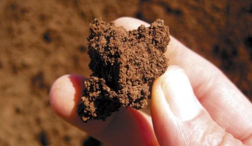 Oregon is made up of many types of soils, including volcanic like this picture shows.
