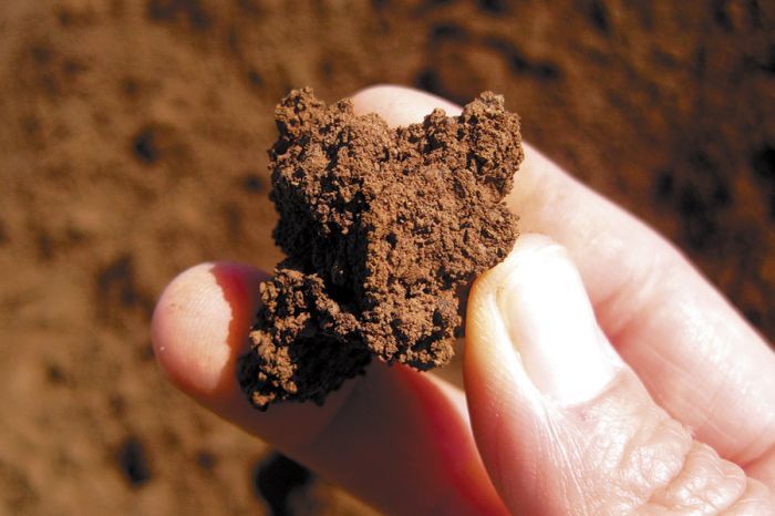 Oregon is made up of many types of soils, including volcanic like this picture shows.