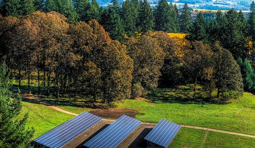 An array of solar panels at Willakenzie Estate. ## Photo provided by Jackson Family Wines