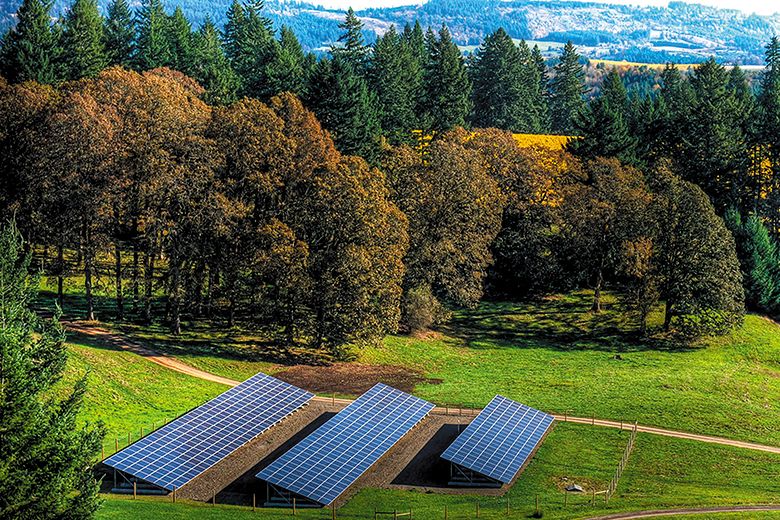 An array of solar panels at Willakenzie Estate. ## Photo provided by Jackson Family Wines