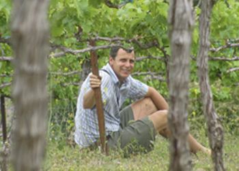 Brian Jordaan takes a rest at
Eliana Vineyard in Medford. Brian Jordaan takes a rest at
Eliana Vineyard in Medford.