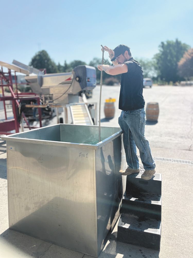A viticulture and enology student punching down wine grapes during the winemaking process. ## Photo provided by Walla Walla Community College