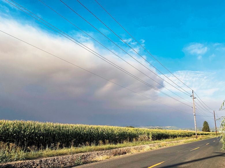 8:31 a.m.  Sept. 8: The wall of wildfire smoke as it drifted over a field several miles south of Dayton. ##Photo by Patrick McElligott of Sineann Wines
