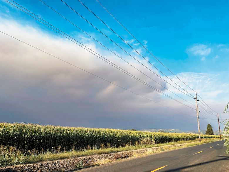 8:31 a.m. Sept. 8: The wall of wildfire smoke as it drifted over a field several miles south of Dayton. ##Photo by Patrick McElligott of Sineann Wines 8:31 a.m. Sept. 8: The wall of wildfire smoke as it drifted over a field several miles south of Dayton. ##Photo by Patrick McElligott of Sineann Wines
