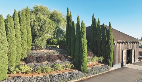 Exterior of White Rose Estate. ## Photo provided by White Rose Estate