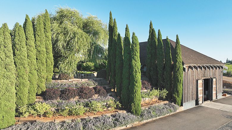 Exterior of White Rose Estate. ## Photo provided by White Rose Estate