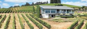 Aerial shot of B Corps Winderlea Vineyard and Winery in the Dundee Hills.##Photo provided by Winderlea Vineyard and Winery