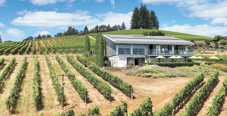Aerial shot of B Corps Winderlea Vineyard and Winery in the Dundee Hills.##Photo provided by Winderlea Vineyard and Winery