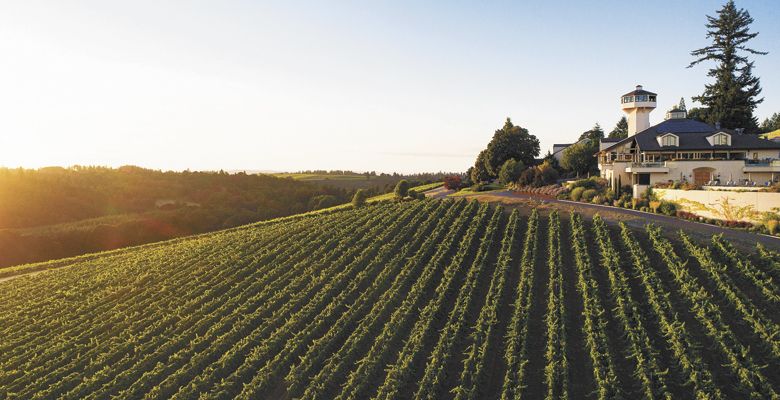 Willamette Valley Vineyards in Turner. ##Photo by Andrea Johnson