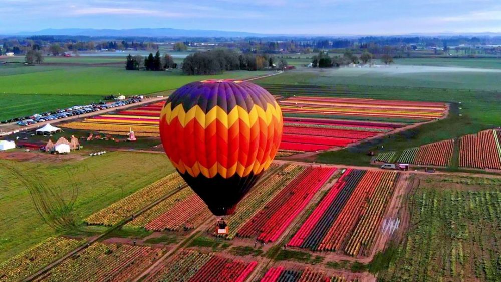 Wooden Shoe Tulip Festival ##Photo provided