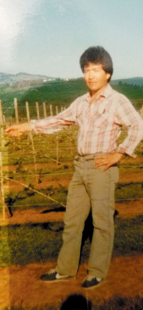 Young Efren Loeza standing among new grape plantings. ## Photo provided by Willamette Valley Vineyards