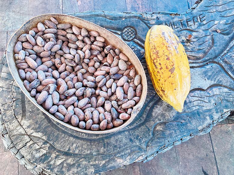 A bowl of dried beans sits on a table next to a cacao pod. ## Photo by Michele Francisco
