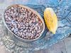 A bowl of dried beans sits on a table next to a cacao pod. ## Photo by Michele Francisco