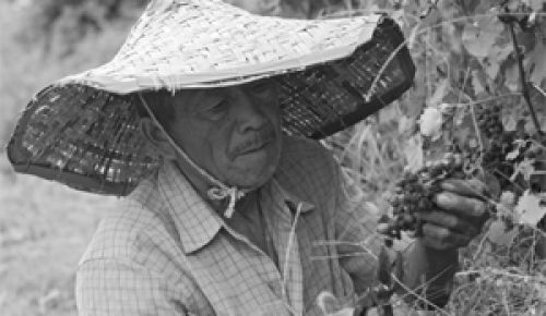 Well-known Chinese sites and  wineries are part of the 12 day tour.