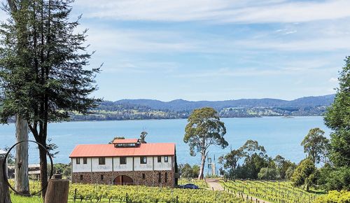 Overlooking rows of biodynamically-farmed grapevines at Marion’s Vineyard stretching to the river’s edge and pier where apples were once loaded onto ships bound for England. ##Photo by Michele Francisco