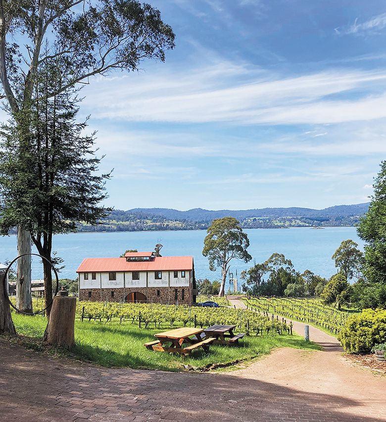 Overlooking rows of biodynamically-farmed grapevines at Marion’s Vineyard stretching to the river’s edge and pier where apples were once loaded onto ships bound for England. ##Photo by Michele Francisco