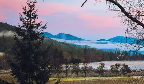 Jacksonville&rsquo;s biodynamically farmed Cowhorn Vineyard surrounded by fog-shrouded hills, beneath a sky painted in pinks and blues. ## Photo provided by Cowhorn Vineyard & Garden