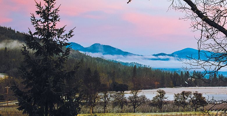 Jacksonville&rsquo;s biodynamically farmed Cowhorn Vineyard surrounded by fog-shrouded hills, beneath a sky painted in pinks and blues. ## Photo provided by Cowhorn Vineyard & Garden