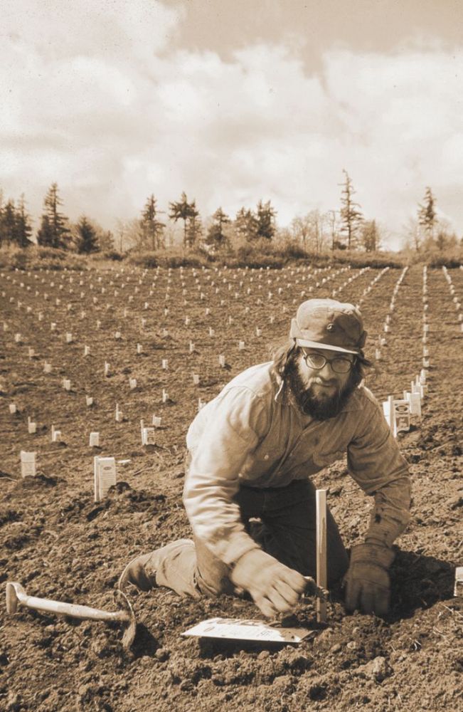 David Adelsheim in block one during an April 20,1974 planting party. ##Photo courtesy of Adelsheim Vineyard