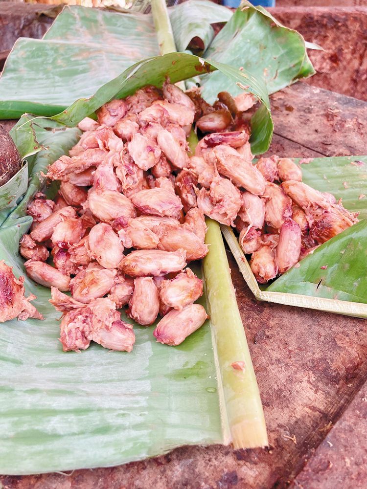 Fermenting cacao beans. ## Photo by Michele Francisco