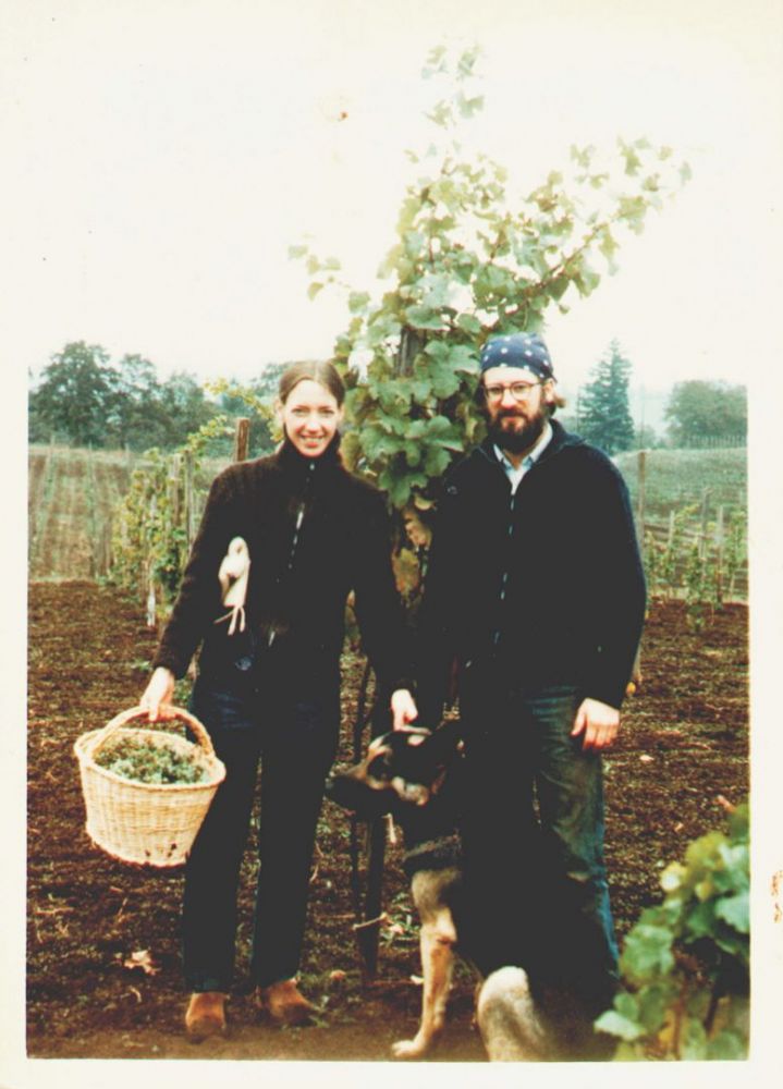 First harvest for home wine, 1977. ##Photo courtesy of Adelsheim Vineyard