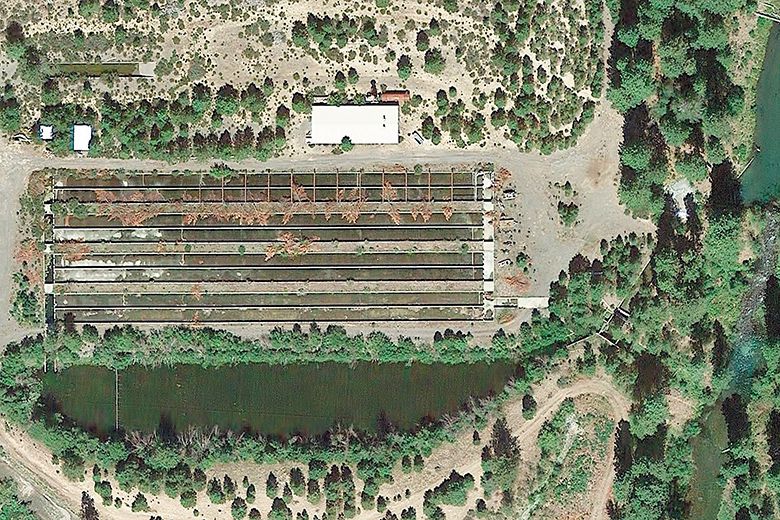 Aerial view of the Oregon Royal Sturgeon Company. ## Photo provided by Oregon Royal Sturgeon Company
