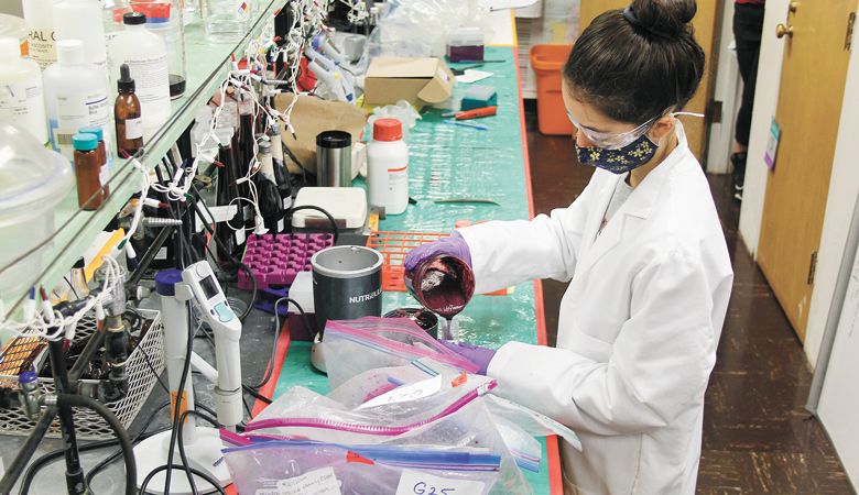 Jenna Fryer, an Oregon State graduate student, processes grape samples before analyzing the grapes for smoke compounds. ##Photo by Sean Nealon