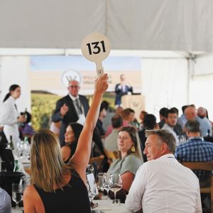 A person bidding on a lot during Willamette: The Pinot Noir Auction. ##Photo by Carolyn Wells-Kramer