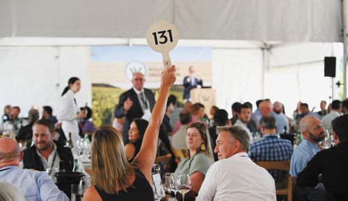 A person bidding on a lot during Willamette: The Pinot Noir Auction. ##Photo by Carolyn Wells-Kramer