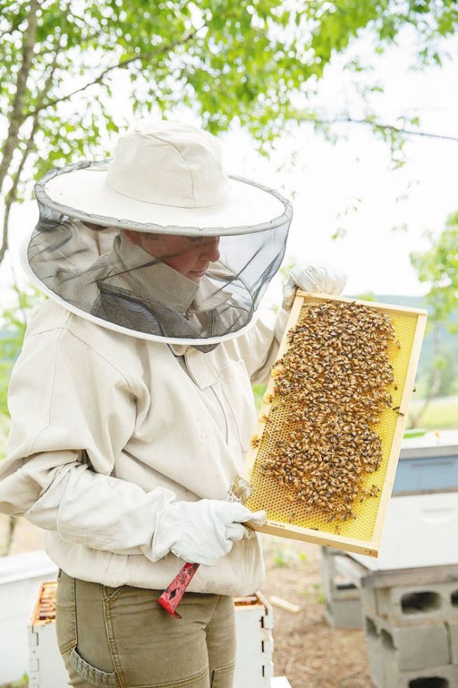 A beekeeper tending to the bees at Abbey Road Farm. ## Photo by John Valls
