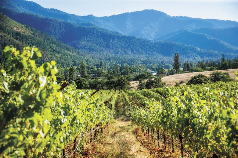 Looking Southwest from the Upper Syrah block in 16-acre Mae’s Vineyard. Nearby, Eevee’s Vineyard is 8 acres and grapevines grown at both sites are organically farmed and LIVE-certified.##Photo By John Valis, courtesy of the Oregon Wine Board