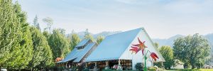 Enjoy the Country Music Block Party at Red Lily Vineyards. ## Photo by John Valls, Courtesy of the Oregon Wine Board