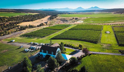 Terrebonne s 312-acre Faith, Hope & Charity Vineyards is named for mountains in the Three Sisters range. ## Photo provided by Faith, Hope & Charity Vineyards