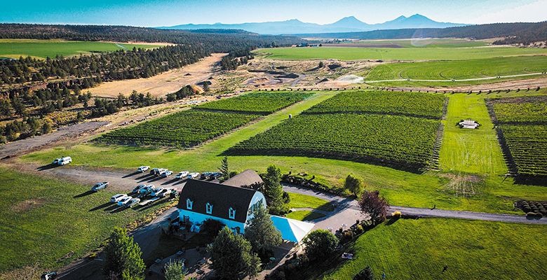 Terrebonne s 312-acre Faith, Hope & Charity Vineyards is named for mountains in the Three Sisters range. ## Photo provided by Faith, Hope & Charity Vineyards